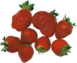 Consumers should be allowed to choose whether they want to eat strawberries from normal strawberry fields sprayed with pesticides many times in a short summer, or genetically modified strawberries that are sprayed just a few times, says Biology Professor Atle Bones. Photo: photos.com
