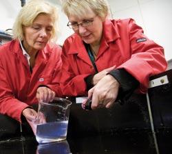 Gunvor Øie and Ingrid Overrein at SINTEF Fisheries and Aquaculture want to exploit the advantages of copepods on a large scale. Photo: Thor Nielsen