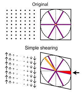 Grids are sheared when mapping onto axes of the environment Shearing reproduces both asymmetry and rotation seen in recorded grid cells. Shearing displaces points on a grid proportionally to the distance from a shear axis (left panels). Shearing a grid pattern comes out as turning it elliptical and introducing a rotation to the previously parallel axis (right panels, red area and arrow). 