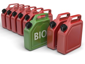 Ny krav kan bety at biodrivstoffet må gi reelle reduksjoner i karbondioksidutslipp, og produksjonen av drivstoffet skal ikke gå ut over biologisk mangfold eller fortrenge matproduksjon. Foto: Thinkstock