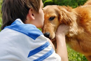 Andelen vakthunder og jakthunder går ned, mens hunder i dag oftest skal være kos, et hyggelig familiemedlem. Foto: Thinkstock