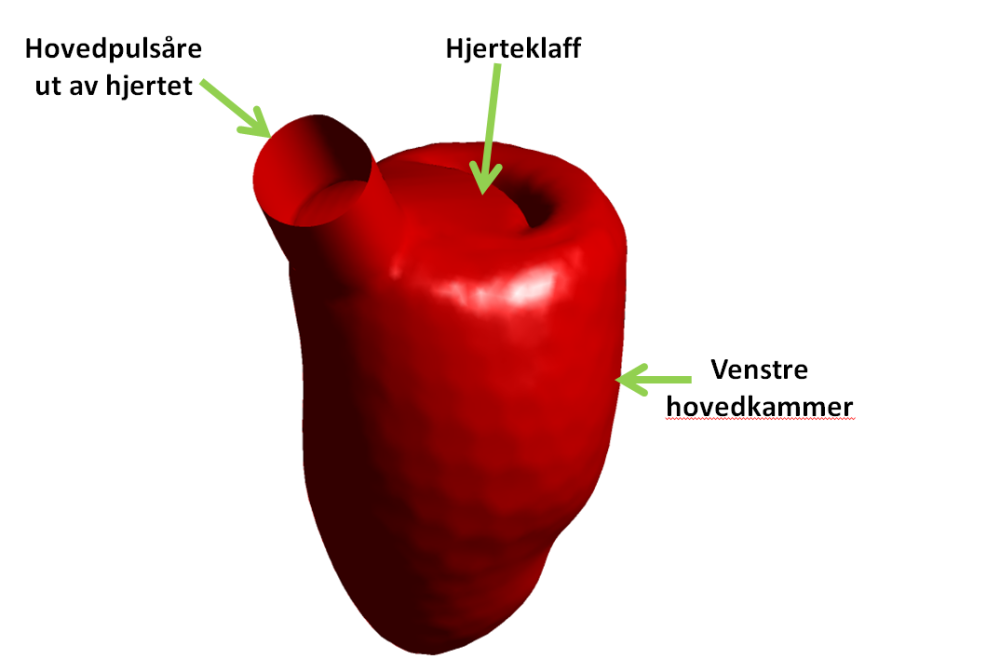 Researchers have created a 3D model of a human heart which they use to run blood flow pattern simulations. (Illus.: SINTEF)