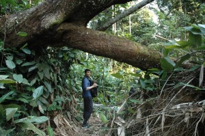 Jo-Kristian Røttereng har sett de tropiske skogene i DR Kongo på nært hold. Foto Privat