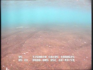 Foto 30: Forskerne er ute etter de områdene i Nordlaguna som ser aller kjedeligst ut, de som har en flatt og ensformig havbunn dekket av mye og finkornete sedimenter. Foto: NTNU