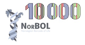 NorBOL har passert 10.000 arter med strekkode. Illustrasjon: NTNU Vitenskapsmuseet