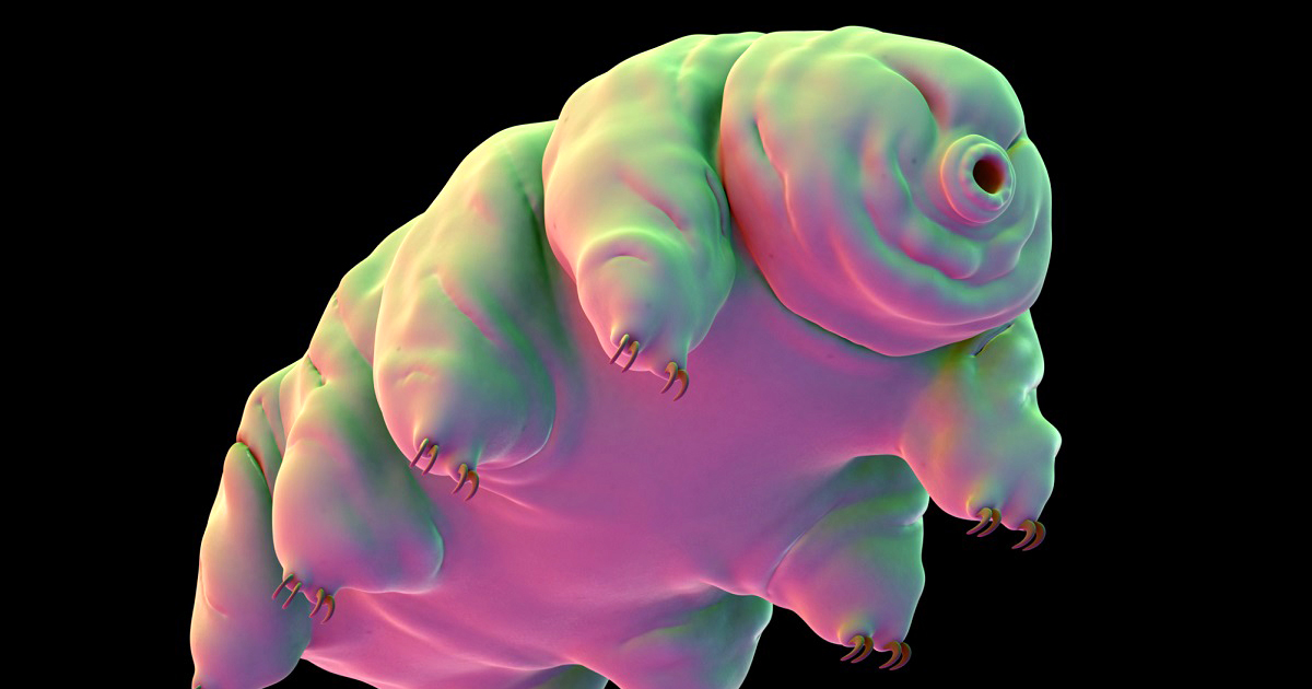 Water bears survive in space and the ocean's depths