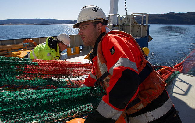 The crew of NTNU's RV Gunnerus haul a net aboard the ship. Photo: Per Harald Olsen, NTNU