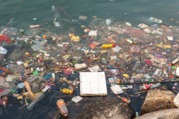  Approximately eight million tonnes of plastic trash is discarded annually in our oceans and lakes. It is estimated that more than 100,000 marine mammals and one million seabirds are killed each year as a result of this trash. Photo: Thinkstock