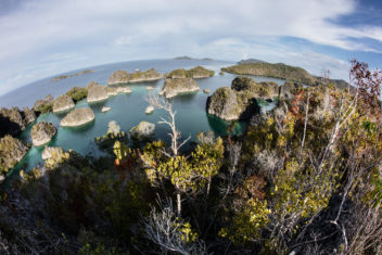 The remote limestone islands in Raja Ampat, Indonesia, are covered by vegetation. The islands are ancient, uplifted reefs, now surrounded by an array of vibrant marine biodiversity. But highly diverse areas in Indonesia can be threatened by development pressures driven by consumer purchases. Photo: Thinkstock