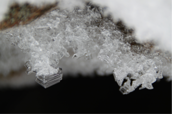 Snow crystal growth; big crystals with only a few bonds form weak layers in the snow pack. Photo: Alexander Prokop