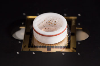 A microelectrode array (MEA) chip containing neurons. Photo: Kai T. Dragland, NTNU