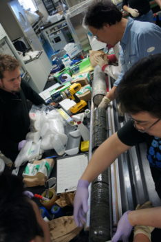 Scientist work in the lab with samples collected by Chikyu from the deep coal bed where ancient bacteria were found. Photo: JAMSTEC/IOP