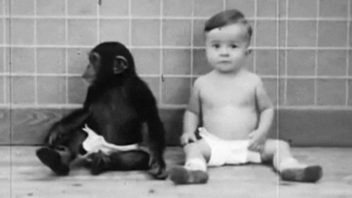 Baby and chimp Photo Winthrop Niles Kellogg