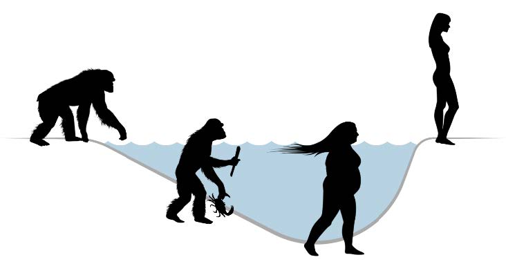 An isolated chimpanzee was the founder in this theory of semiaquatic human speciation. Illustration: Alex Krill