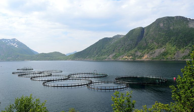 Improving occupational safety in aquaculture