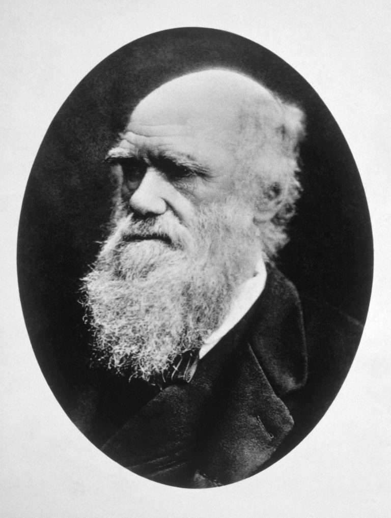 Charles darwin что открыл