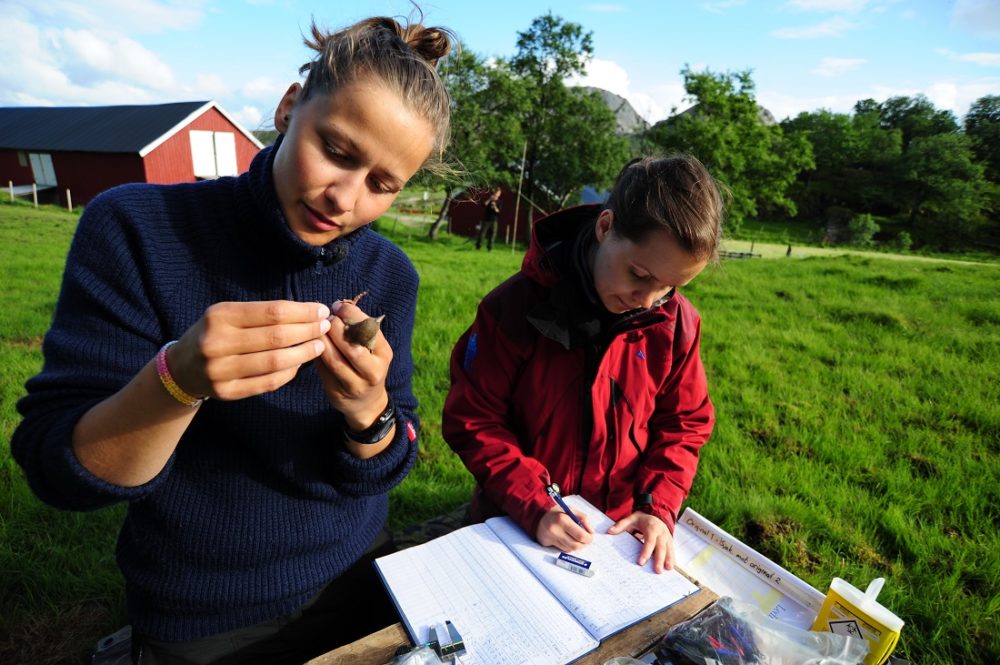 Masterstudents Malene Vågen and Marlene Wæge Stubberud out in the field, studying birds.
