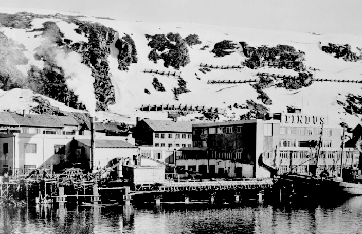The Indus fish freezing factory in Hammerfest