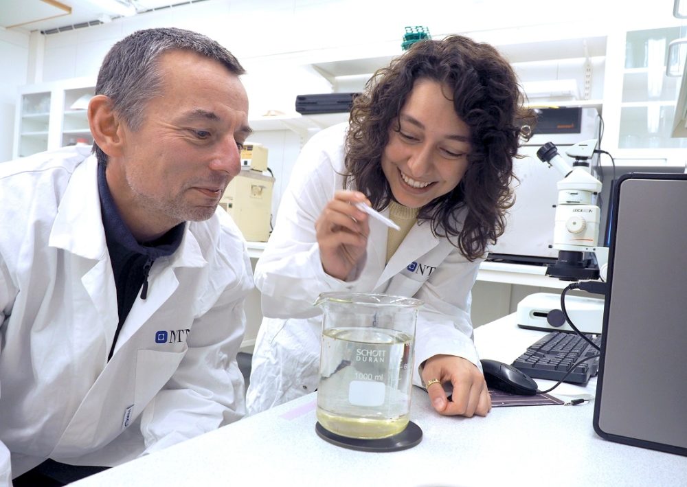 Professor Sigurd Einum and PhD candidate Semona Issa working in the laboratory.