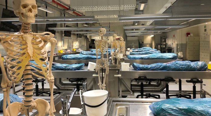 Anatomical laboratory at NTNU