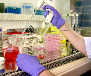 Close-up of researcher's hands working with lung cells.