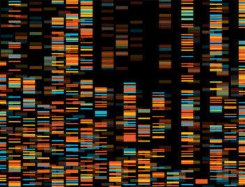 Genetic sequence in color