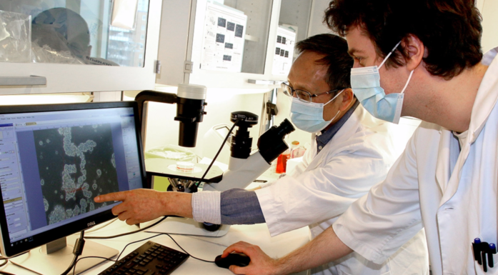 Erlend Ravlo and Wei Wang examine information from a microscope image.