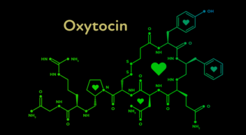 Oxytocin illustration