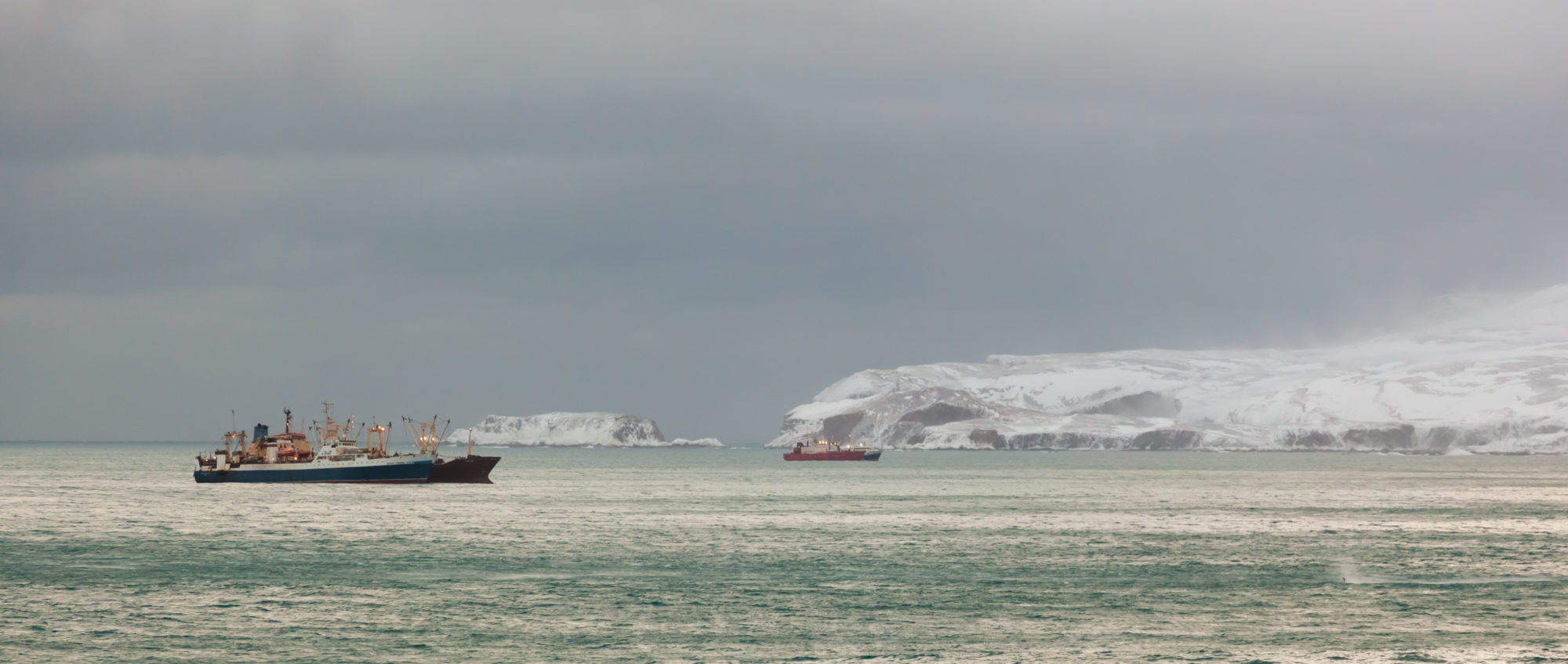 PAME - Arctic Ship Traffic Data