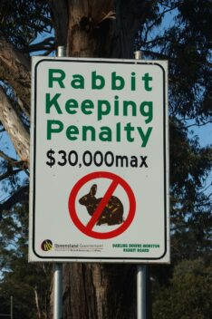 sign from Australia with penalty 