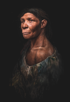 Illustration of an old Neanderthal