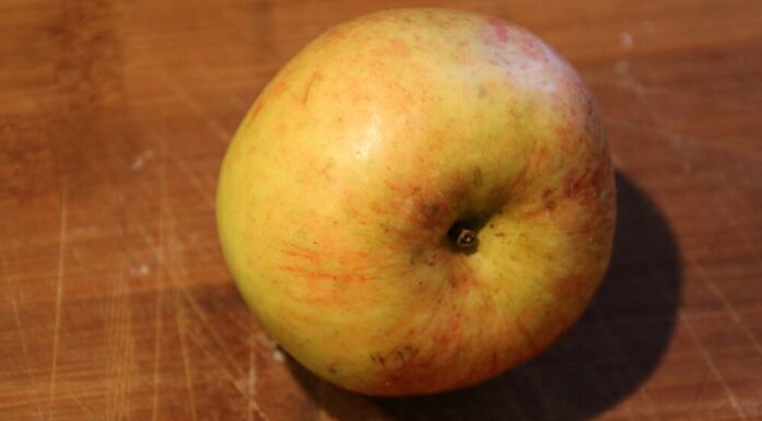Malvik apple
