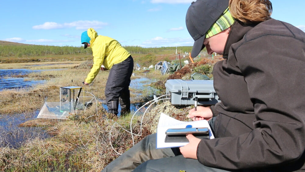 Two researchers in the tundra, studying greenhouse gas emissions from permafrost. 