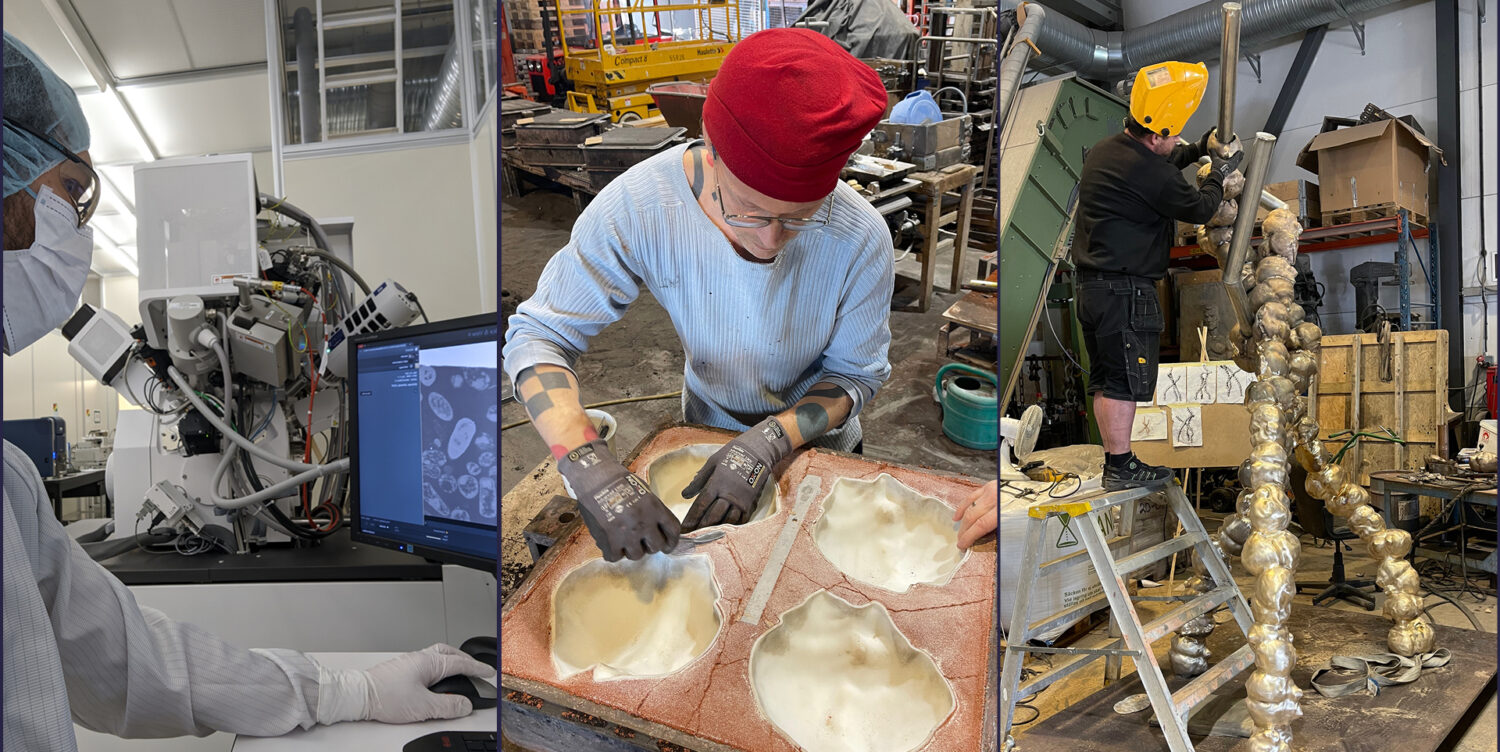 How an intestinal bacterium from Bergen and a splinter from the Oseberg ...