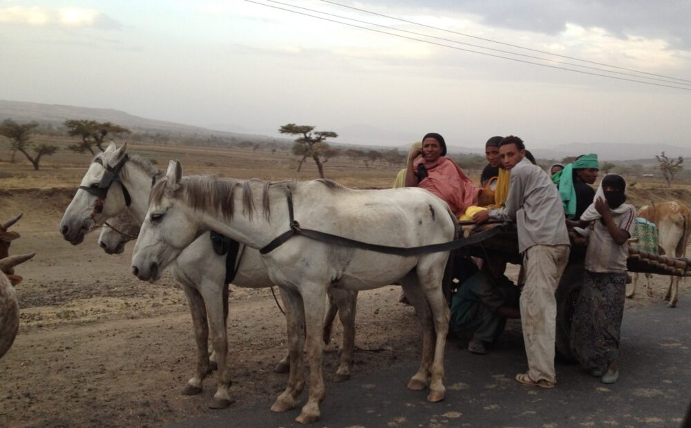 Horse drawn cart in Ethiopia Lithium ion batteries