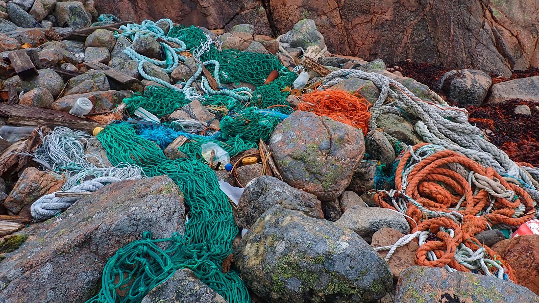 If we can't untangle this mess, Norway's blue industry will never