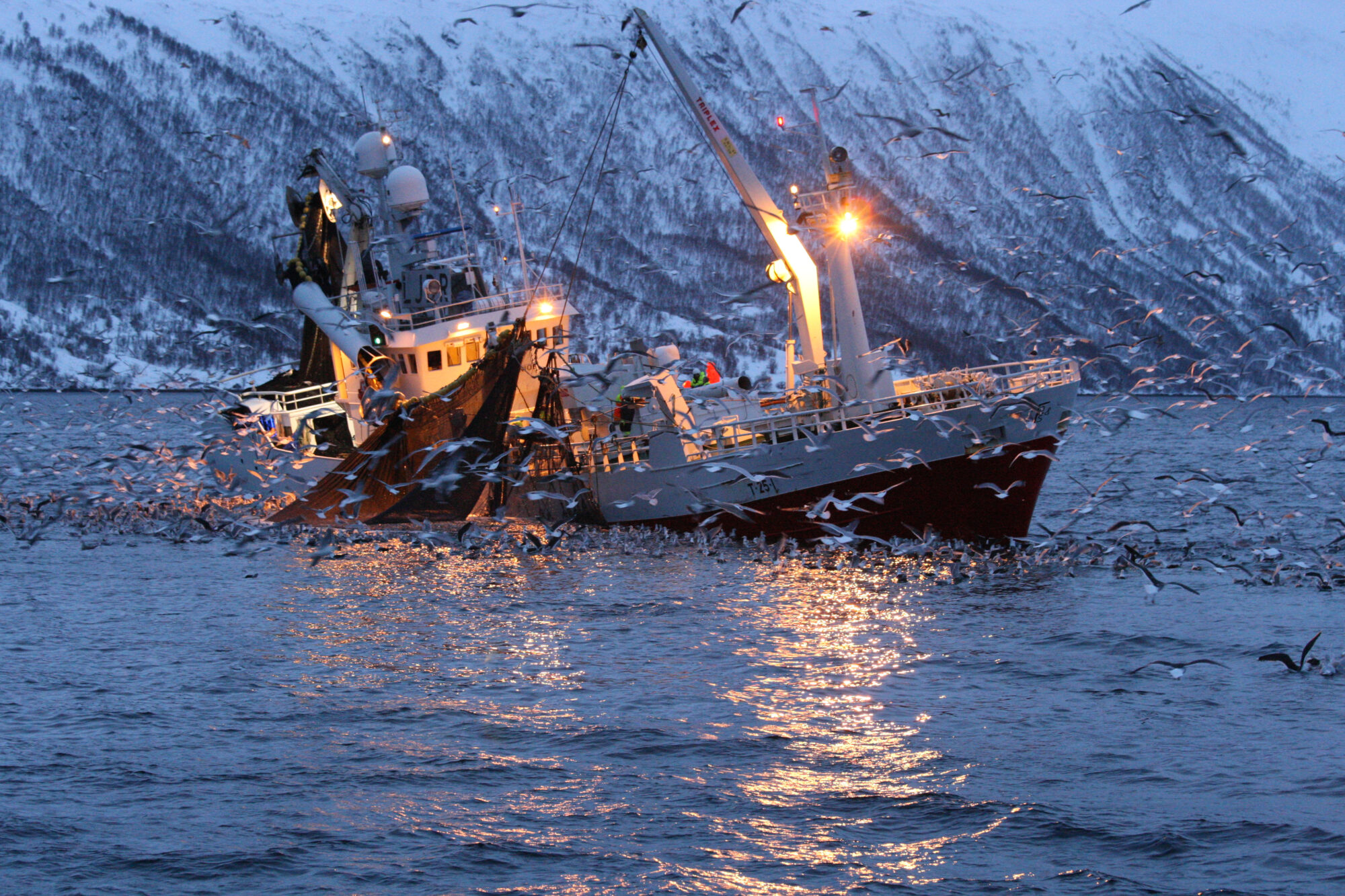 If we can't untangle this mess, Norway's blue industry will never