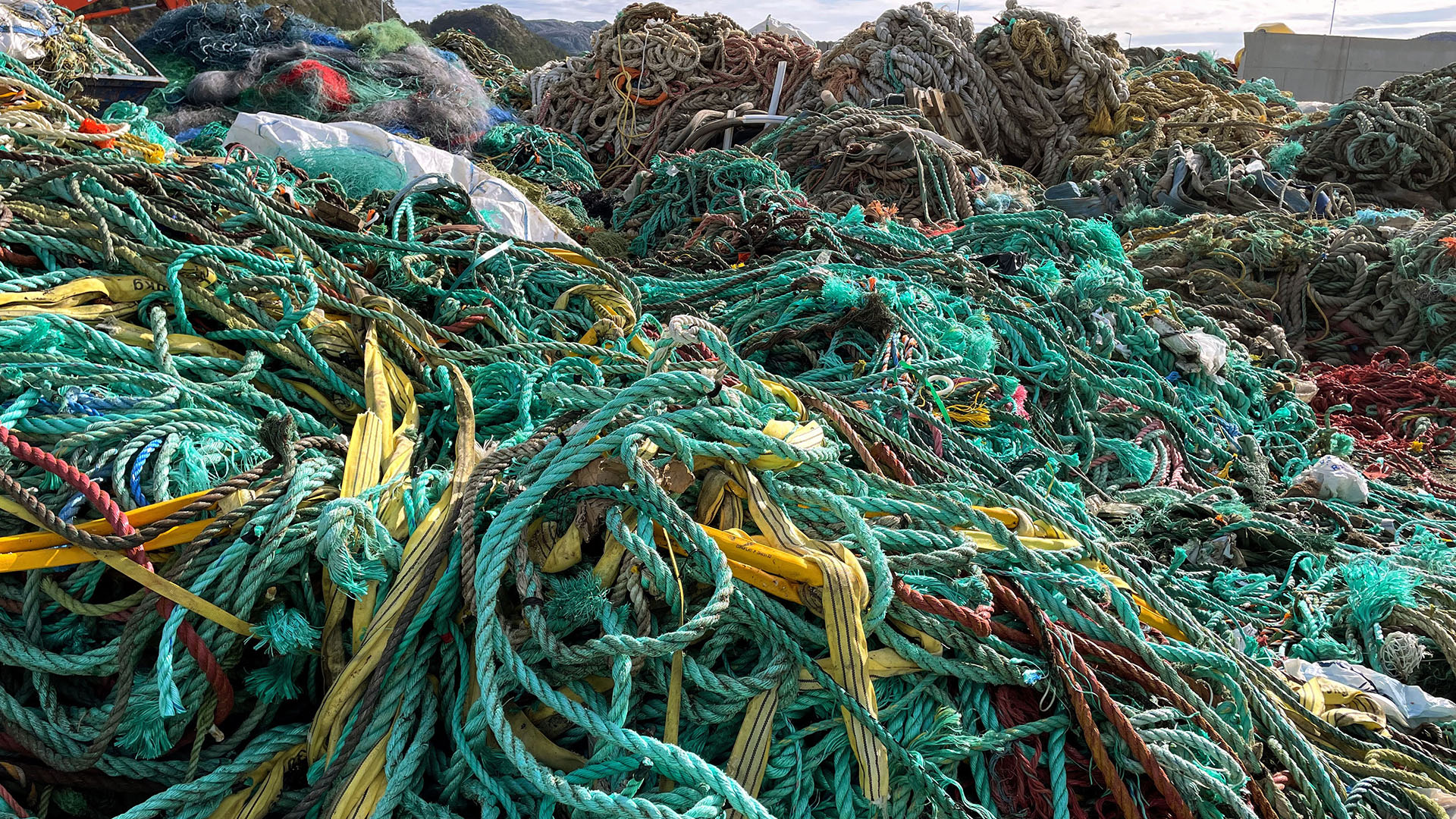 Fishing nets make up almost half of ocean plastic pollution