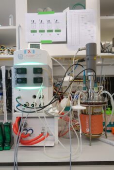 Bioreactor for growing bacteria.