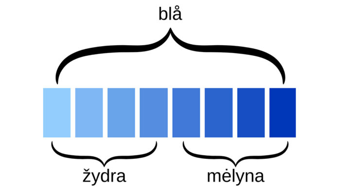 Language. The illustration shows different variants of blue.