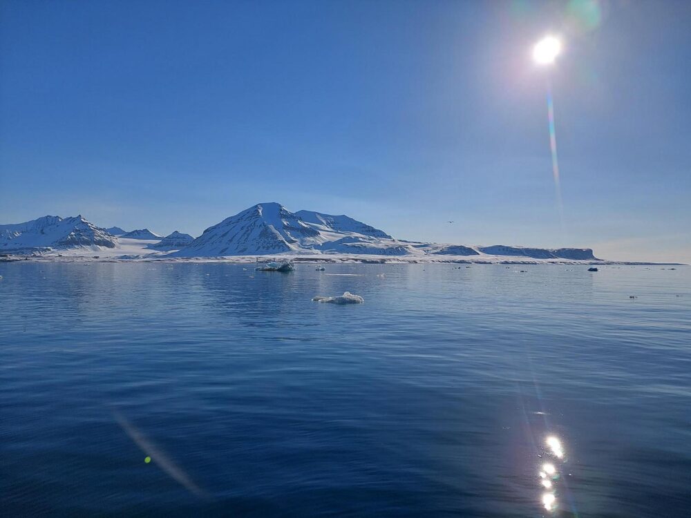 Plankton - arctic landscape
