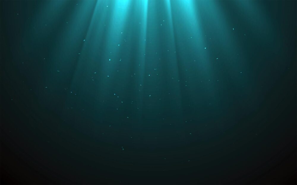 Plankton under water