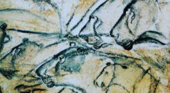 Objects and shapes are vital to language. Lion paintings from the Chauvet Cave in France.