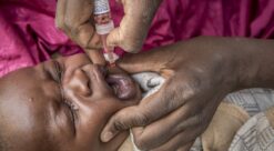 Infant receiving an oral polio vaccination. Photographed in Sokoto, Nigeria.