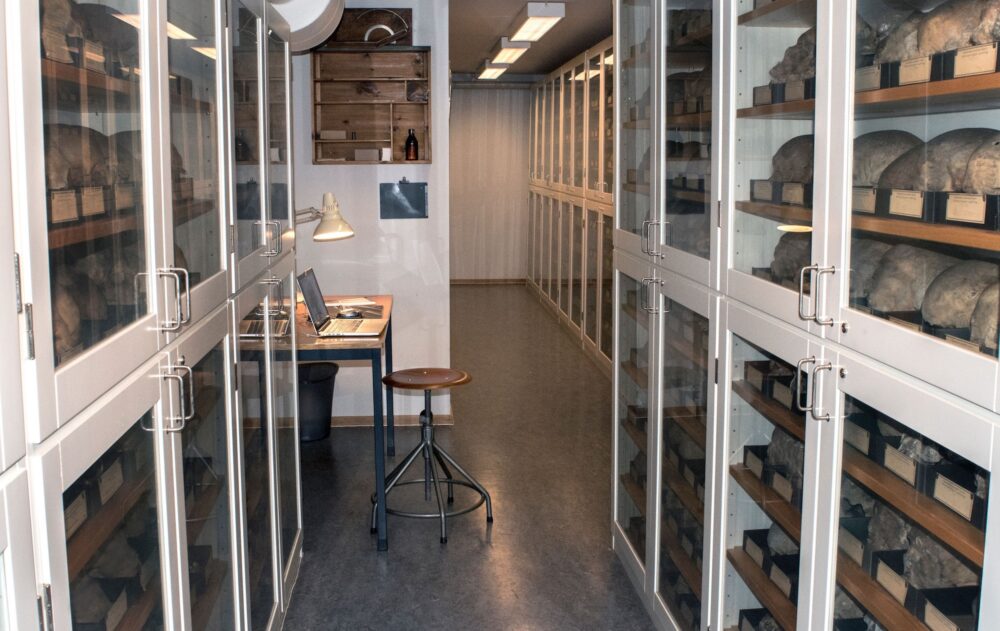 The Schreiner Collection at the University of Oslo