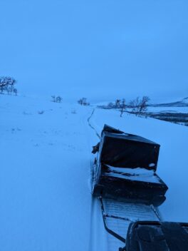 Reindeer herders' feeding sled 