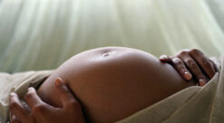 Pregnant woman's belly. Photo.