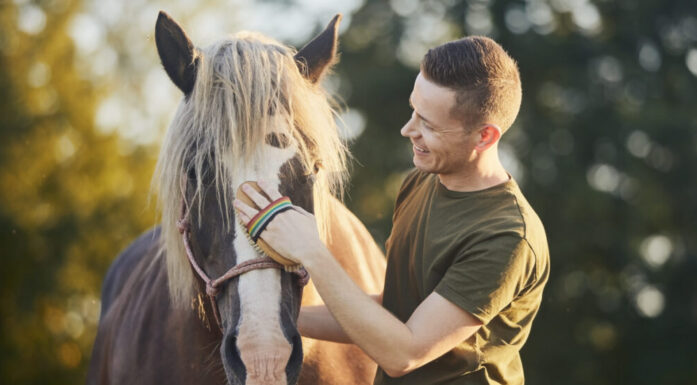 Man and a horse