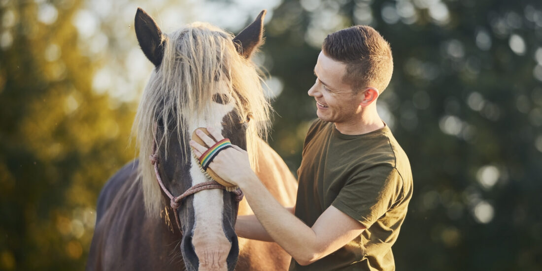 Man and a horse