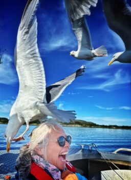 Reporter meets gull